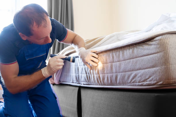 Best Fumigation Services  in Greensboro, NC